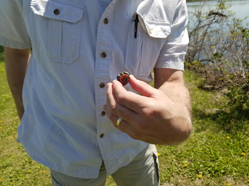 Performing Arts Theater «The Old Creamery Theatre Company», reviews and photos, 39 38th Ave, Amana, IA 52203, USA