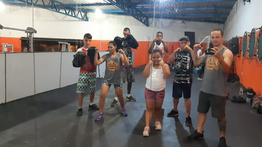 Logo da empresa - Academia Evolution RP