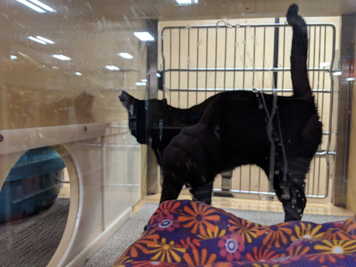 Pet Supply Store «PetSmart», reviews and photos, 1921 Gulf Fwy S, Dickinson, TX 77539, USA