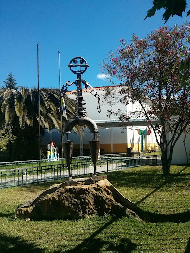 Instituto Educativo Do Juncal, Lda. - Escola
