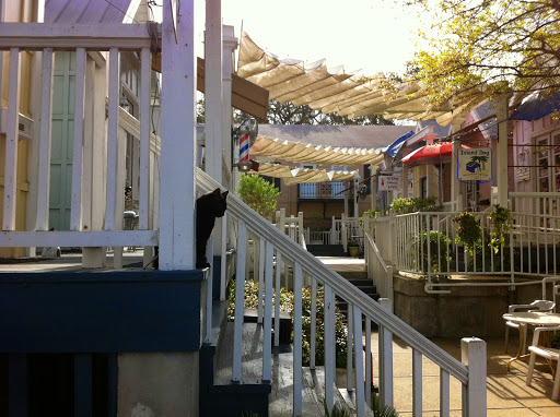 Pet Store «Island Dog», reviews and photos, 410 Mallery St, Saint Simons Island, GA 31522, USA