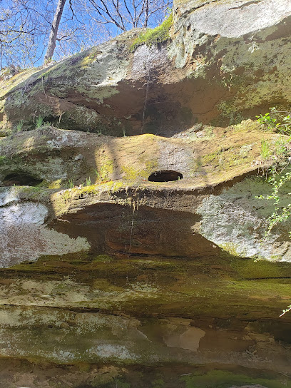Rocky Hollow Natural Area