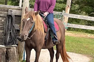 Florida Horse Rides image
