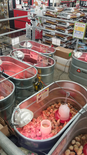 Home Improvement Store «Tractor Supply Co.», reviews and photos, 2401 NY-52, Pine Bush, NY 12566, USA