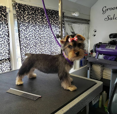 Something Special Dog Grooming