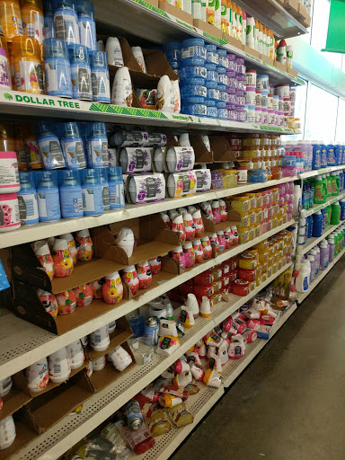 Dollar Store «Dollar Tree», reviews and photos, 806 Pelham Pkwy #4, Pelham, NY 10803, USA