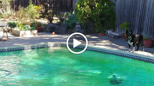 Department Store «Target», reviews and photos, 200 Vintage Way, Novato, CA 94945, USA