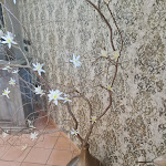 Photo n°27 de l'avis de D.O..o fait le 23/03/2022 à 09:05 sur le  Il Guardiano Del Matese Agriturismo a Cusano Mutri _ BN à Civitella Licinio