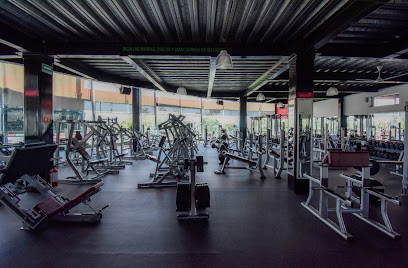 Elite Gym Wellness Center - Blvrd Camino Real #351, Jardines Vista Hermosa III, 28040 Colima, Col., Mexico