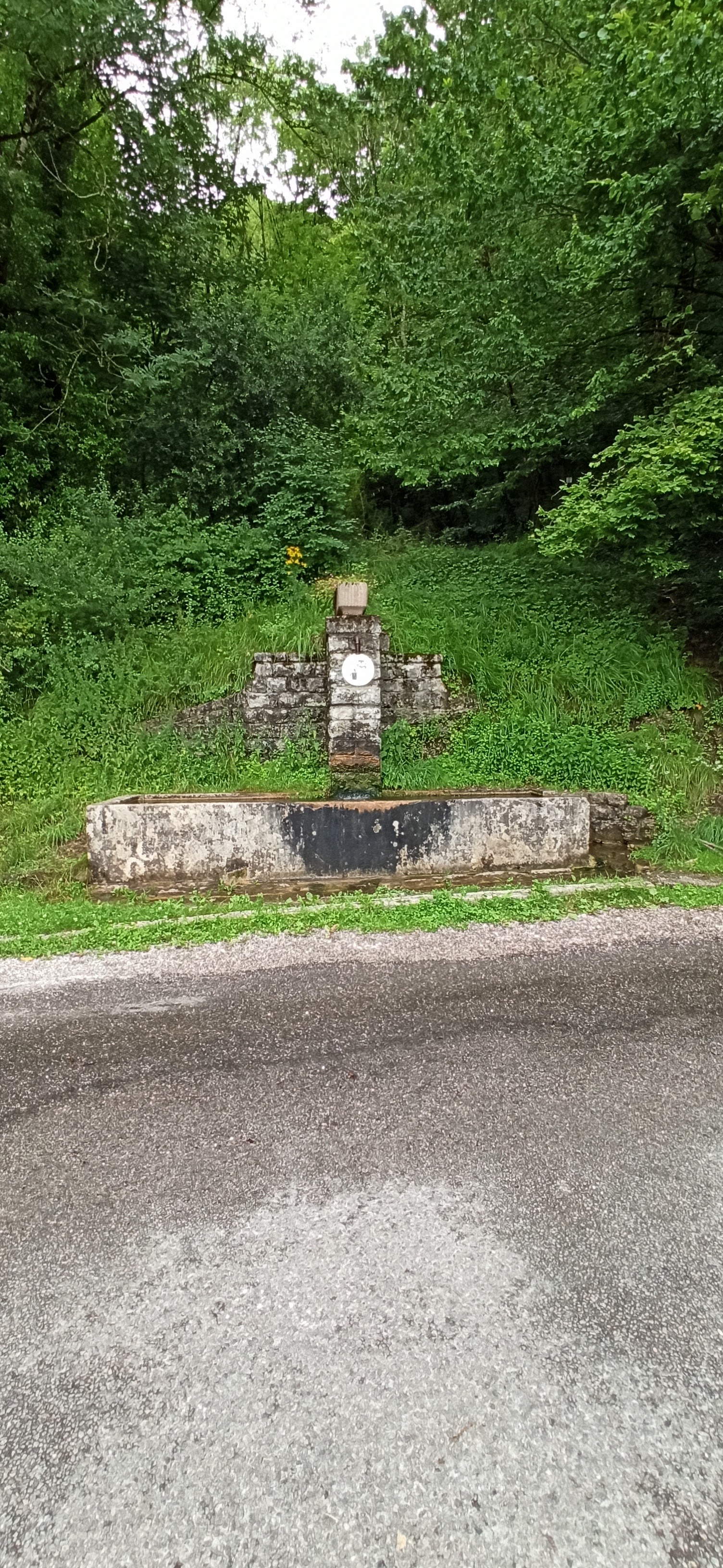 Photo n° 7 de l'avis de Picatchu.a fait le 14/07/2021 à 15:54