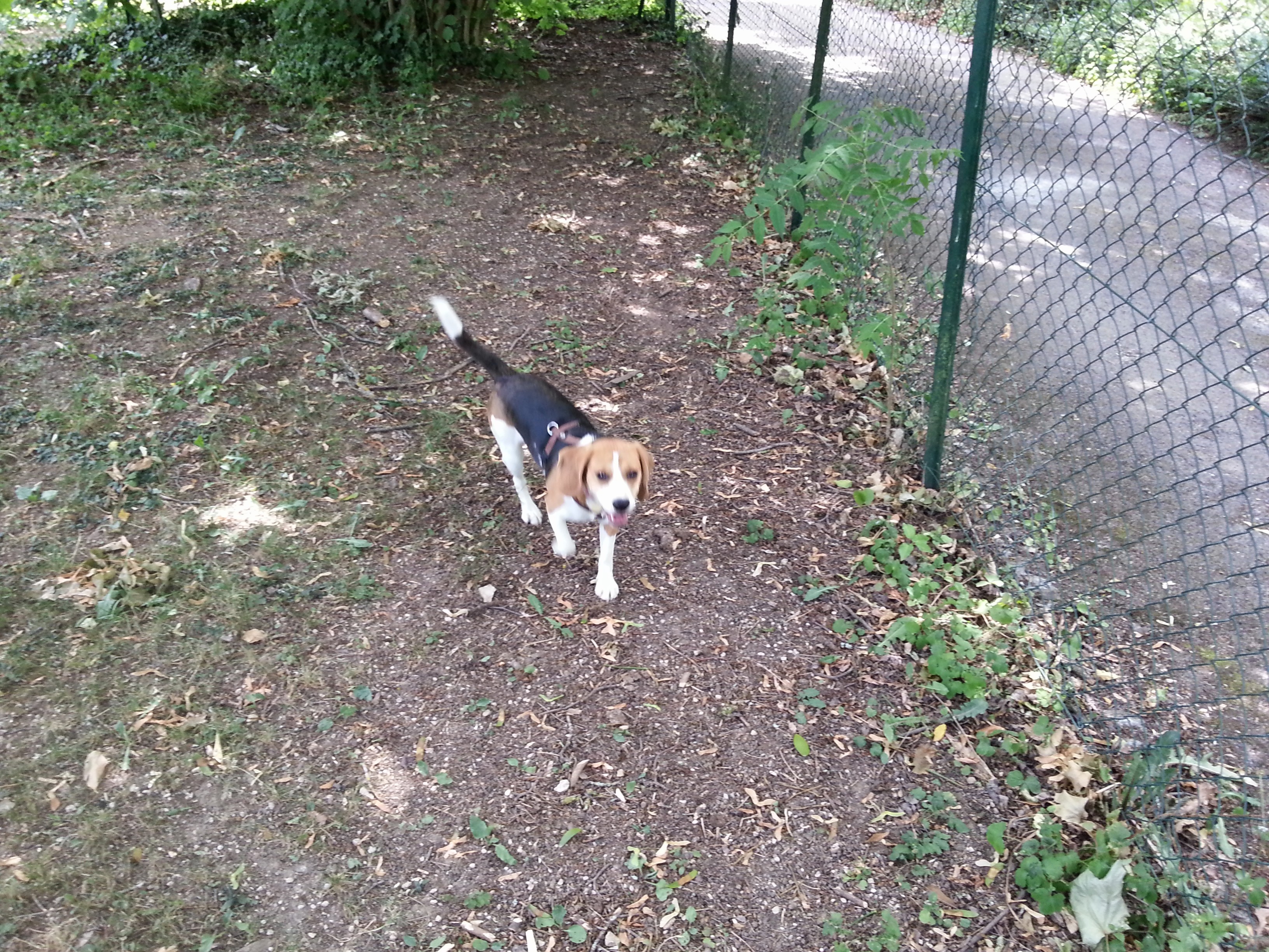 Photo n° 1 de l'avis de Sergeï.a fait le 16/02/2020 à 15:37