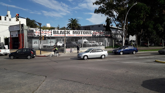 Black Motors