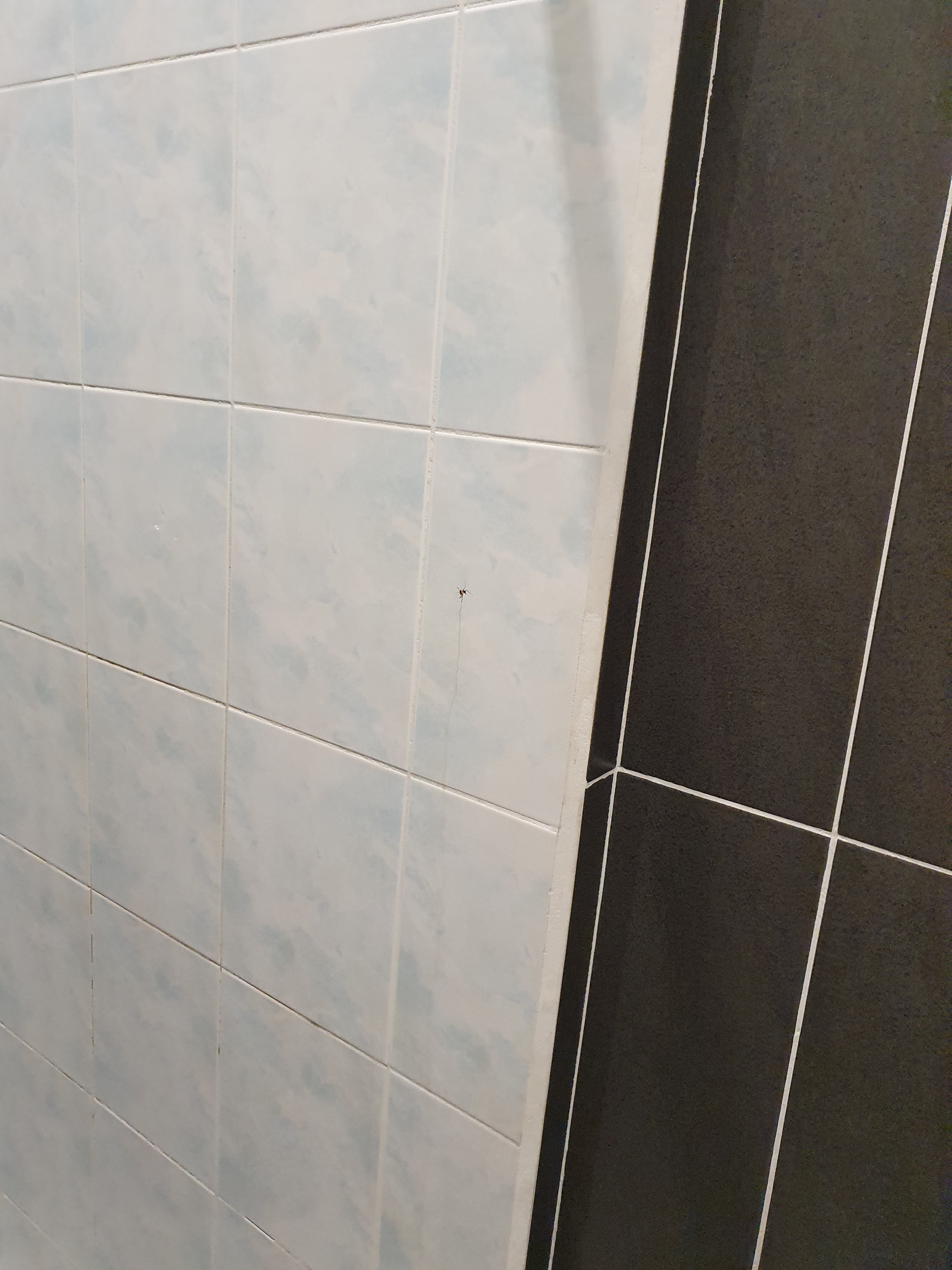 Photo n° 5 de l'avis de stéphane.u fait le 12/09/2021 à 17:23