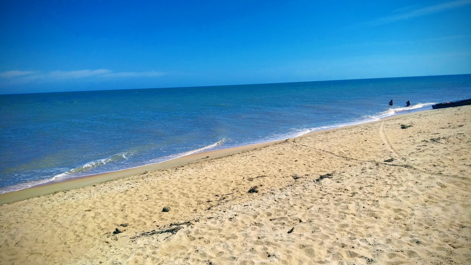 Iemanja Plajı'in fotoğrafı vahşi alan