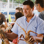 Photo n°1 de l'avis de Tessa.� fait le 17/08/2019 à 19:38 sur le  O António à Matosinhos