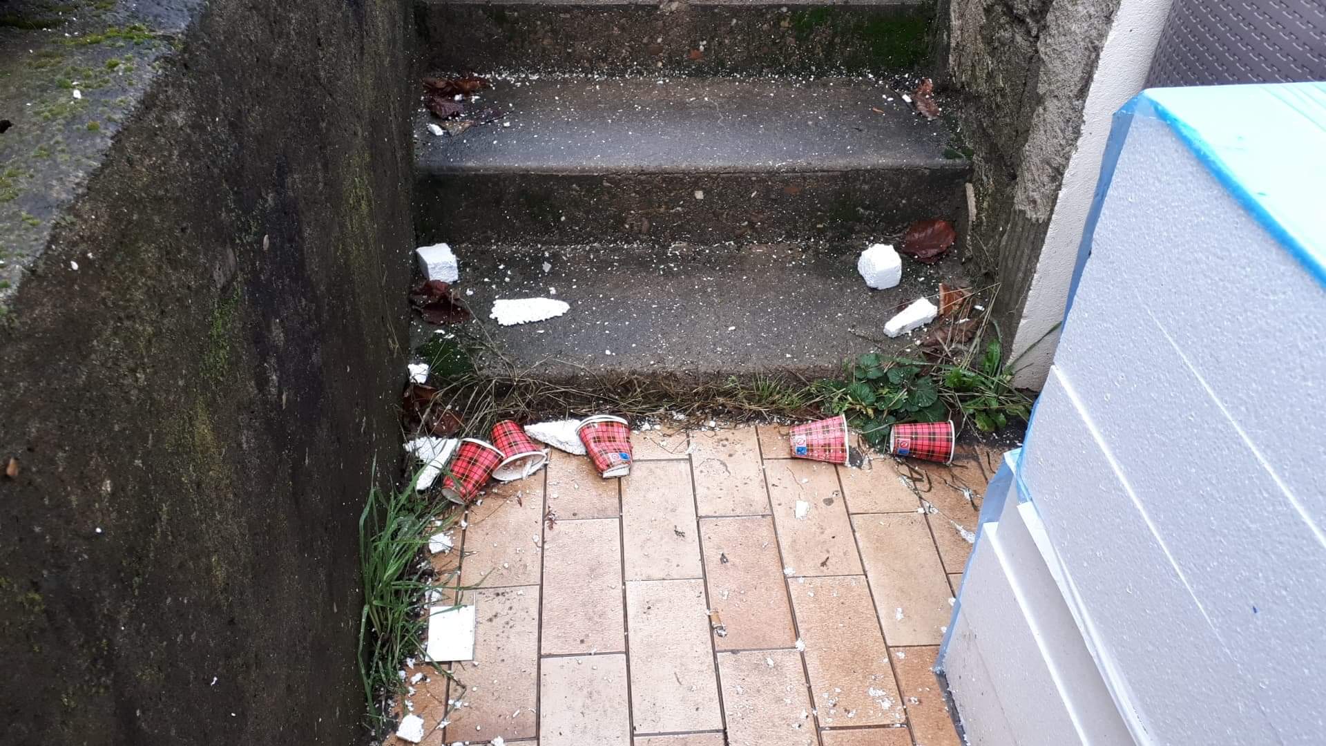 Photo n° 1 de l'avis de Alexis.e fait le 14/11/2022 à 08:32
