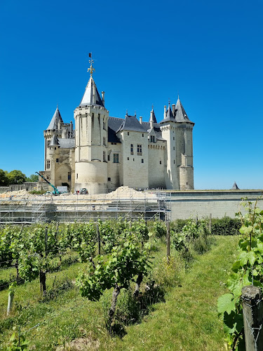 Maison des vins d'Anjou et de Saumur à Saumur