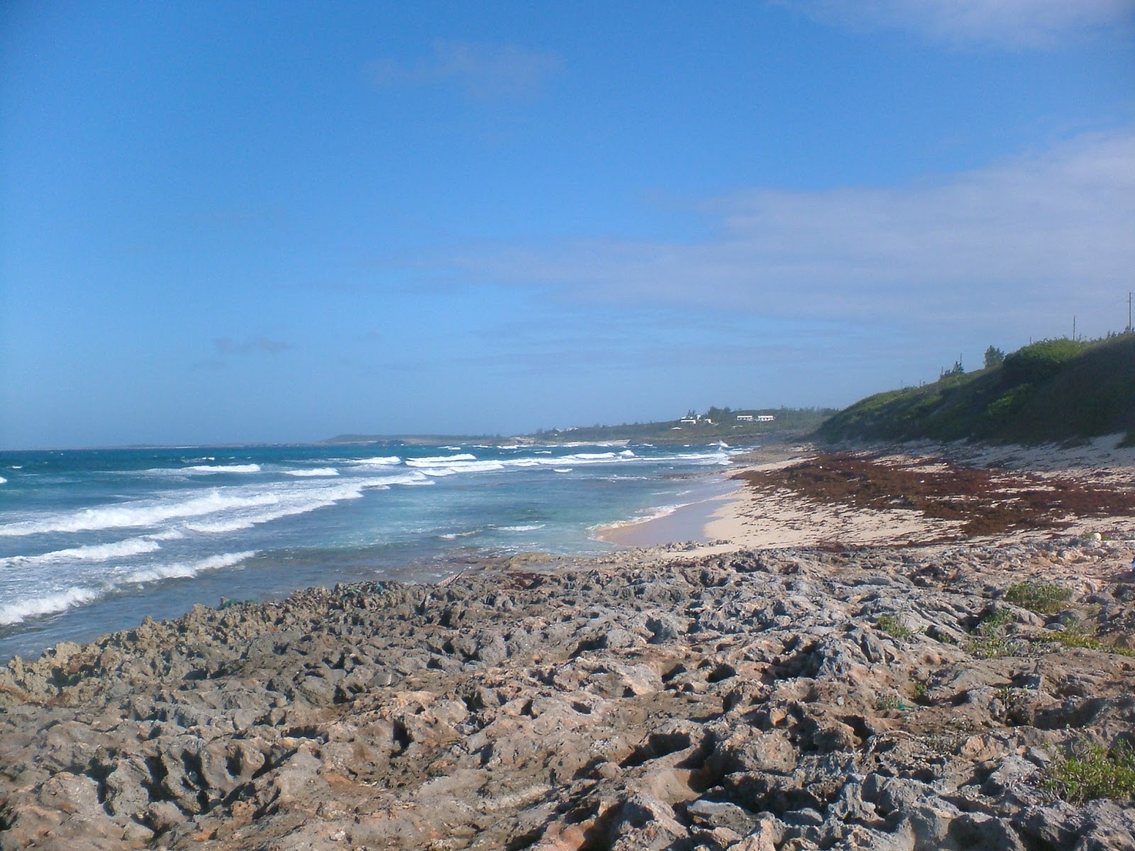 Foto di James Point beach con una superficie del sabbia luminosa e rocce