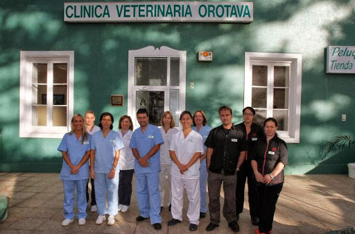 Orotavet Clínica Veterinaria