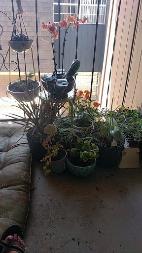 Hardware Store «Westlake Ace Hardware 075», reviews and photos, 11801 S Western Ave, Oklahoma City, OK 73170, USA