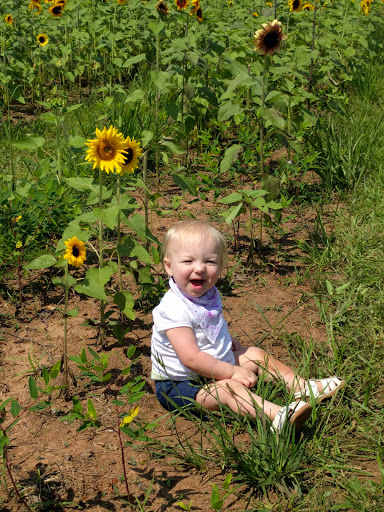 Tourist Attraction «Burnside Farms - Flower Fields», reviews and photos, 15441 Haymarket Dr, Haymarket, VA 20169, USA