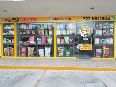 BuenaPata Toluca Metepec
