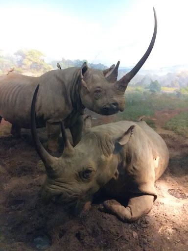 Museum «Museum of the City of New York», reviews and photos, 1220 5th Ave & 103rd St, New York, NY 10029, USA