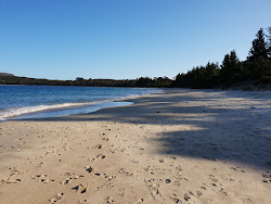 Zdjęcie Safety Cove Beach z powierzchnią turkusowa czysta woda