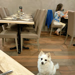 Photo n°2 de l'avis de Simona. fait le 15/06/2022 à 18:38 sur le  Il Tugurio à Besozzo