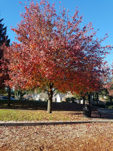 Park «Highlands Park», reviews and photos, 16123 Highlands Blvd SE, Mill Creek, WA 98012, USA