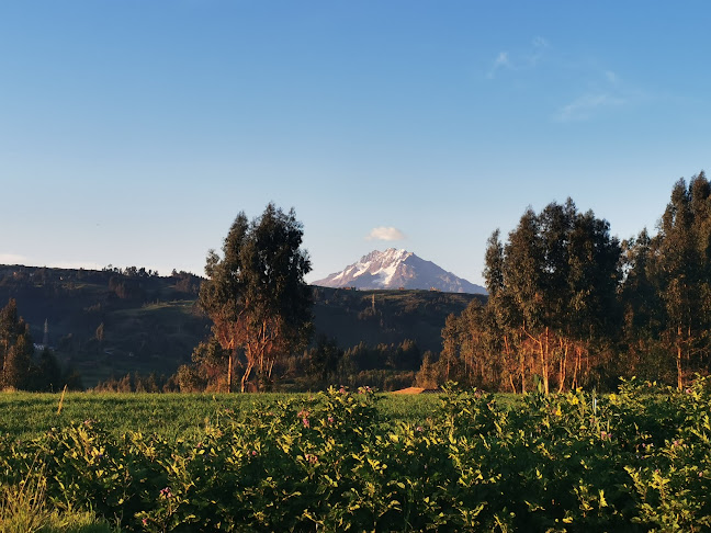 Tierra fértil - Bienes Raíces Cusco - Agencia inmobiliaria