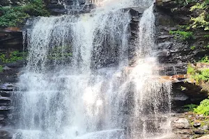 Ganoga Waterfall image