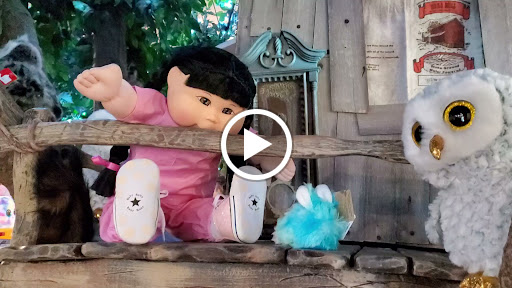 Toy Store «Babyland General Hospital», reviews and photos, 300 NOK Dr, Cleveland, GA 30528, USA