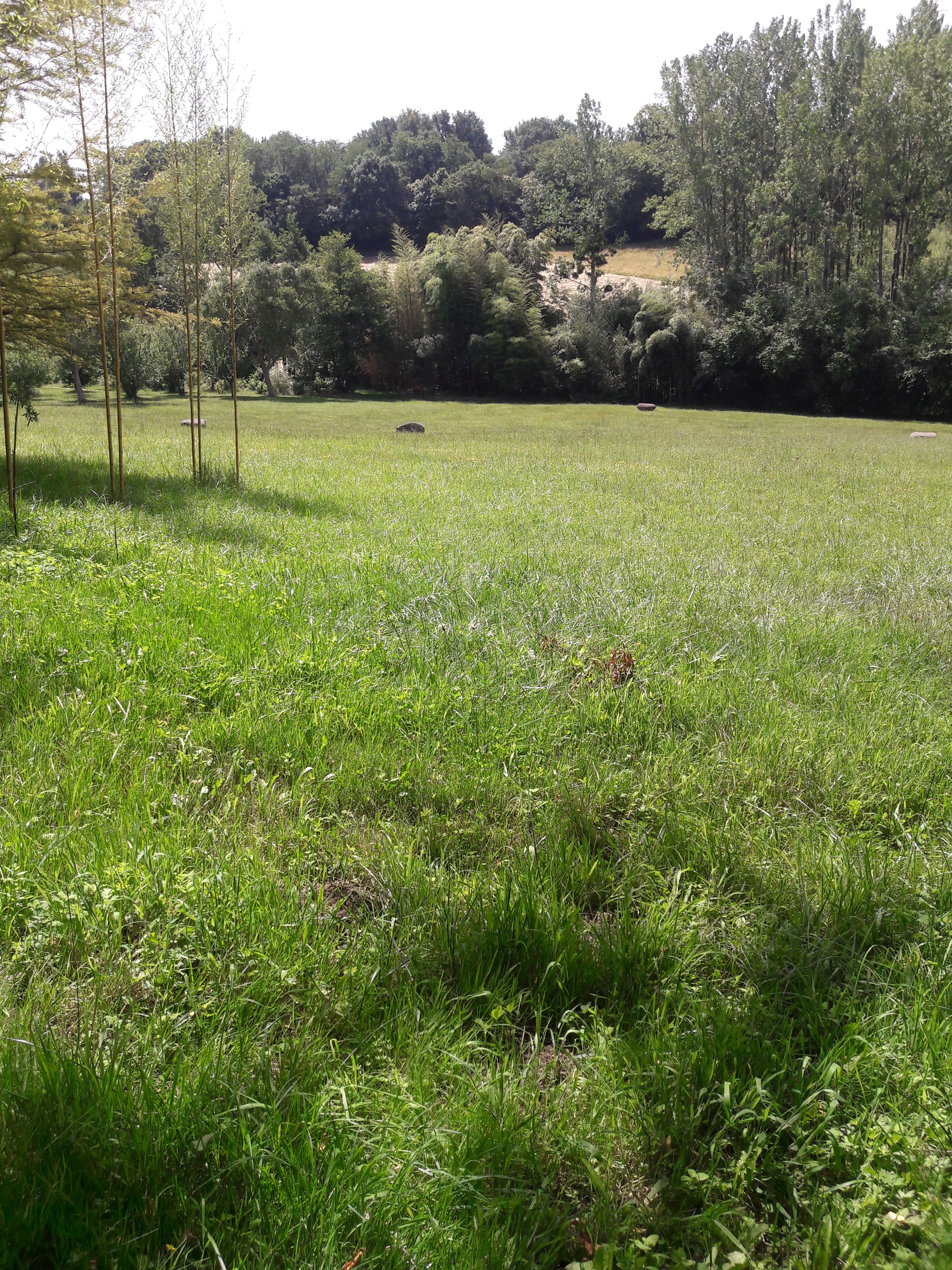 Photo n° 30 de l'avis de Jean-pierre.i fait le 27/06/2019 à 08:13