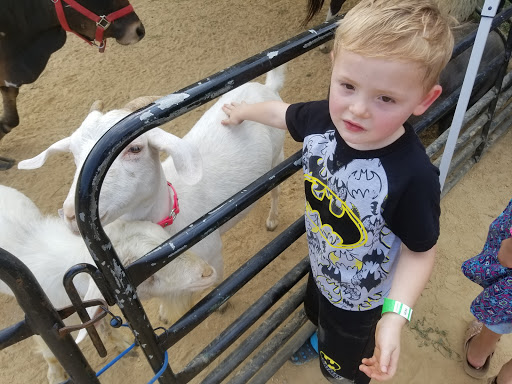 Park «Oriole Park», reviews and photos, 5430 N Olcott Ave, Chicago, IL 60656, USA