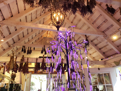 Farm «Blooming Hill Lavender Farm», reviews and photos, 19929 Telegraph Springs Rd, Purcellville, VA 20132, USA