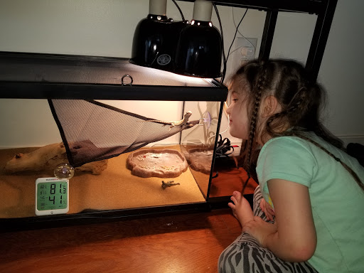 Tropical Fish Store «J B Tropical Fish», reviews and photos, 1950 N Black Horse Pike, Williamstown, NJ 08094, USA