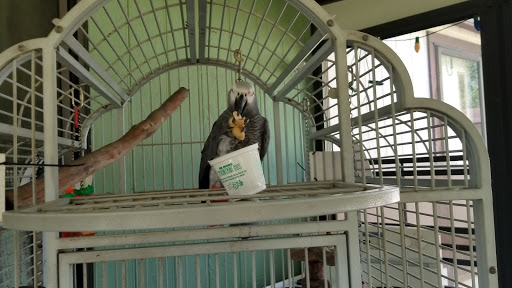 Bird Shop «BirdFarm Superstore», reviews and photos, 6360 Suncoast Parkway, Homosassa, FL 34446, USA