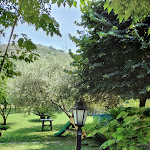 Photo n°16 de l'avis de Sebastiano.i fait le 27/08/2021 à 19:06 sur le  La Rosa dei Venti à Traugnano