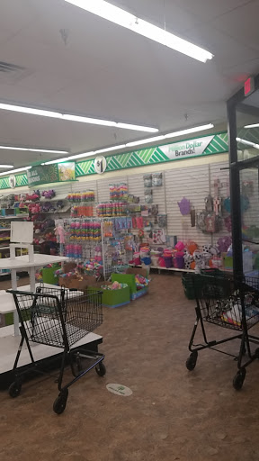 Dollar Store «Dollar Tree», reviews and photos, 125 Essex St, Maywood, NJ 07607, USA