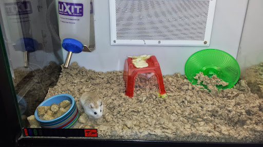 Pet Supply Store «Petco Animal Supplies», reviews and photos, 11398 Bandera Rd #403, San Antonio, TX 78250, USA