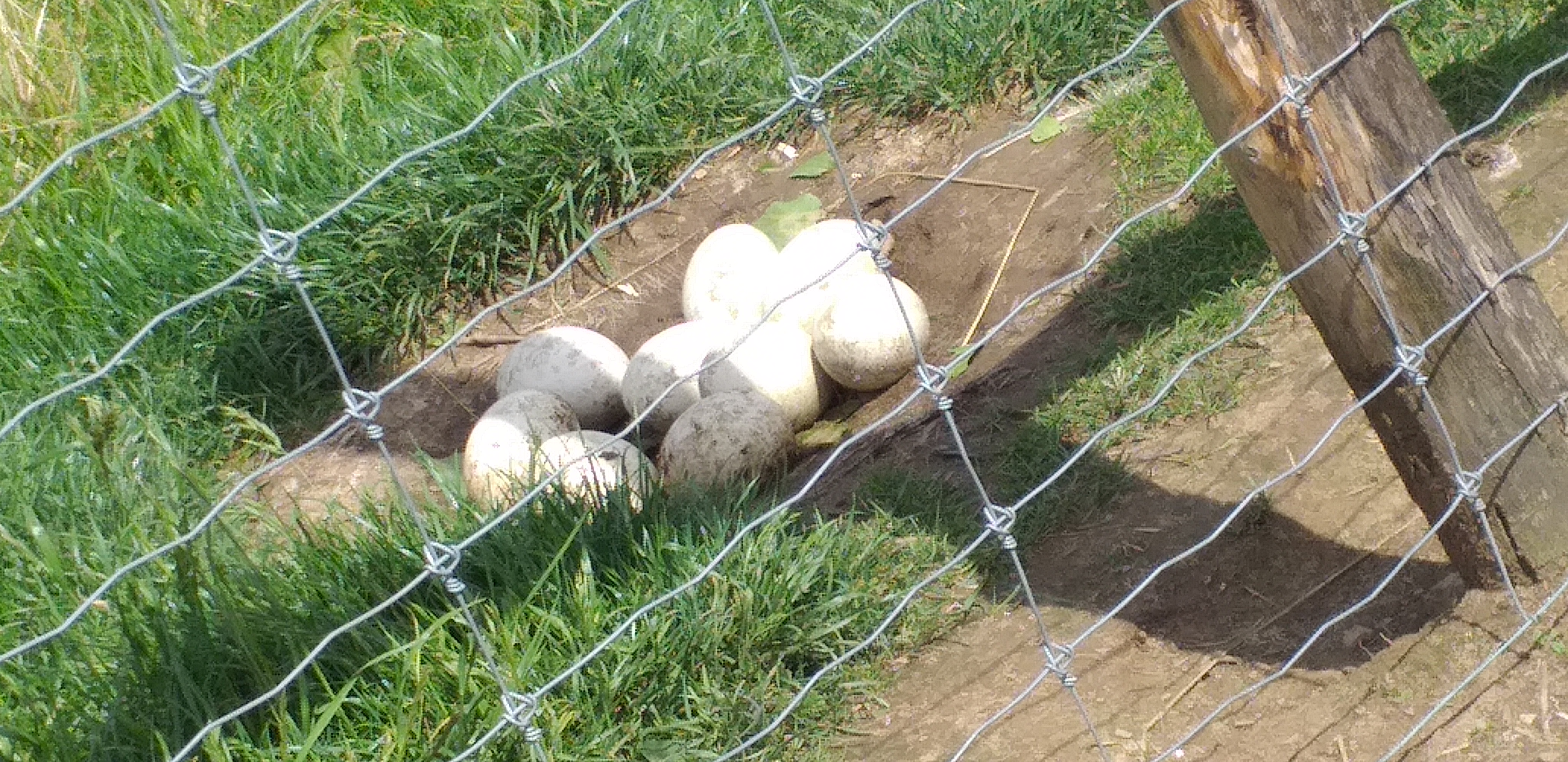 Photo n° 6 de l'avis de fanny79000. fait le 08/06/2019 à 18:43