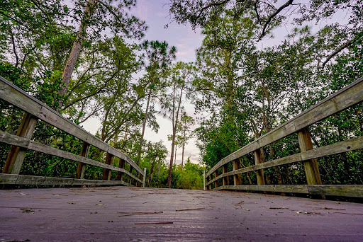 Nature Preserve «Mobbly Bayou Wilderness Preserve», reviews and photos, 423 Lafayette Blvd, Oldsmar, FL 34677, USA