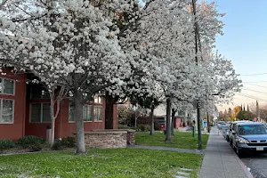 Mountain View Senior Center image