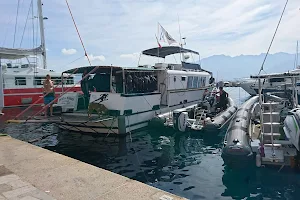 Diving Castile Calvi image