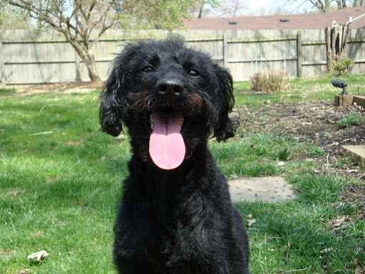 931 OH-28 #201, Milford, OH 45150, USA