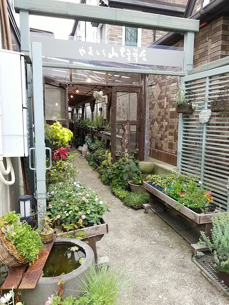 やましち山野草店 長野県小布施町中町 花屋 グルコミ