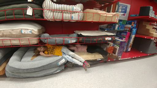 Pet Supply Store «Petco Animal Supplies», reviews and photos, 308 E Meighan Blvd, Gadsden, AL 35903, USA