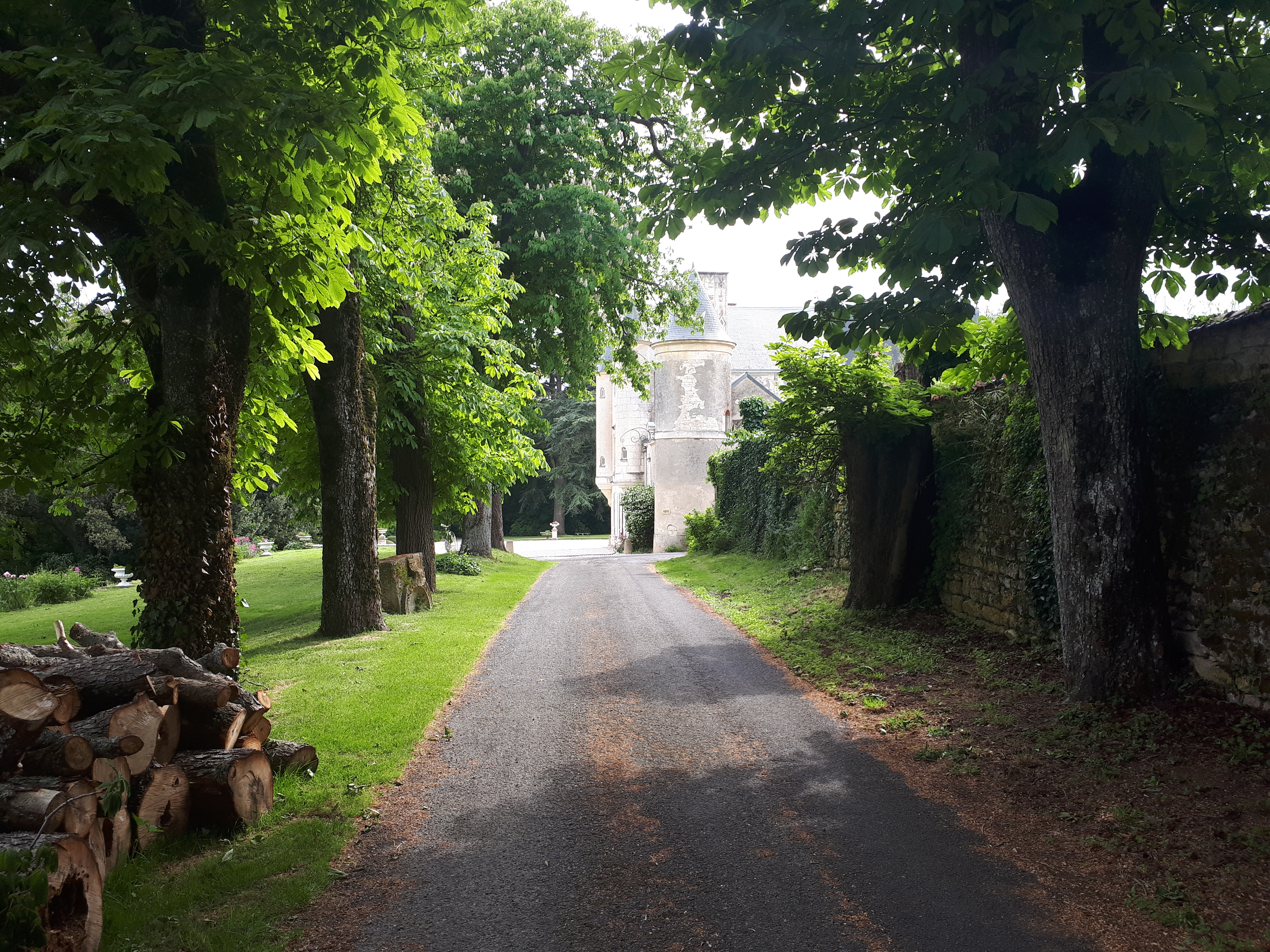 Photo n° 4 de l'avis de pacha.d fait le 17/05/2019 à 17:07