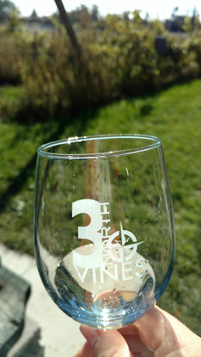 Vineyard «3 North Vines», reviews and photos, 5940 Peck Rd, Croswell, MI 48422, USA